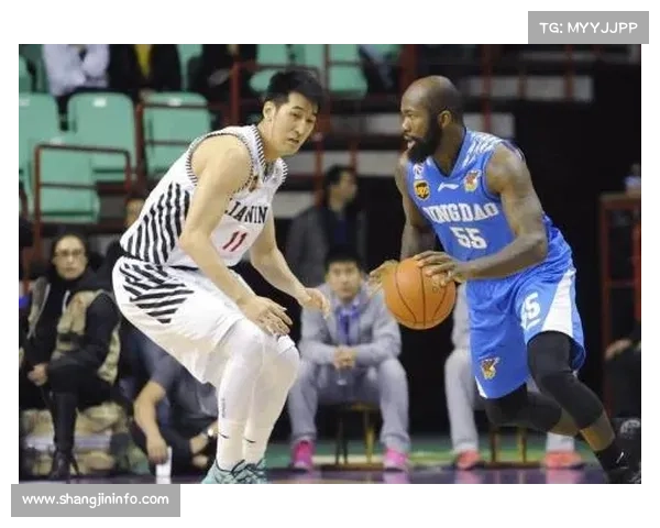 黄蜂队三球助攻能力突出，领跑全队数据