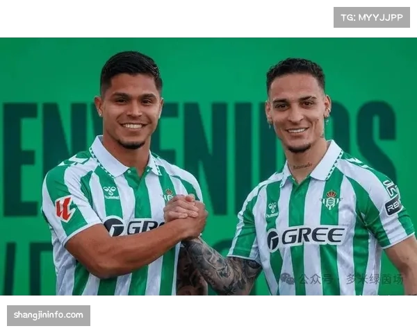 数据复盘:剖析皇家贝蒂斯为何在控球占优情况下,被对手通过反击完成10次射门 数据复盘:剖析皇家贝蒂斯为何在控球占优情况下,被对手通过反击完成10次射门